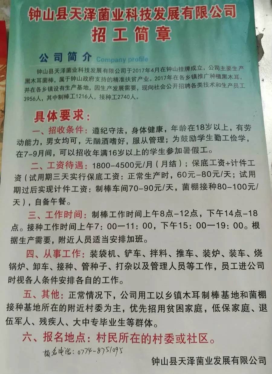 满庄镇最新招聘信息